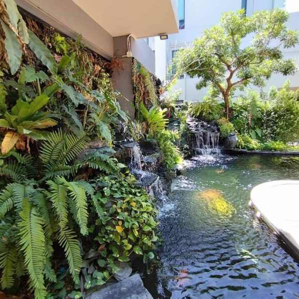 SiamKoiHouse.co.th สร้างสรรค์ บ่อปลาคาร์ฟและสวนสวยในฝัน ด้วยทีมงานมืออาชีพ (206)