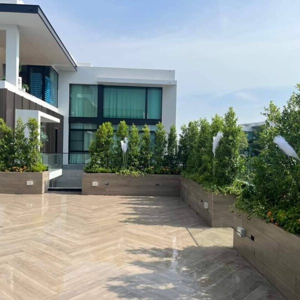 SiamKoiHouse.co.th สร้างสรรค์ บ่อปลาคาร์ฟและสวนสวยในฝัน ด้วยทีมงานมืออาชีพ (207)