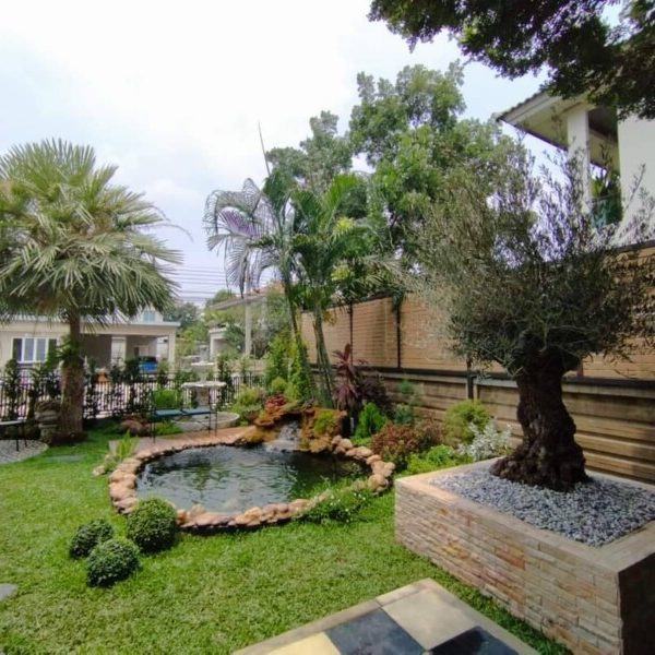 SiamKoiHouse.co.th สร้างสรรค์ บ่อปลาคาร์ฟและสวนสวยในฝัน ด้วยทีมงานมืออาชีพ (221)