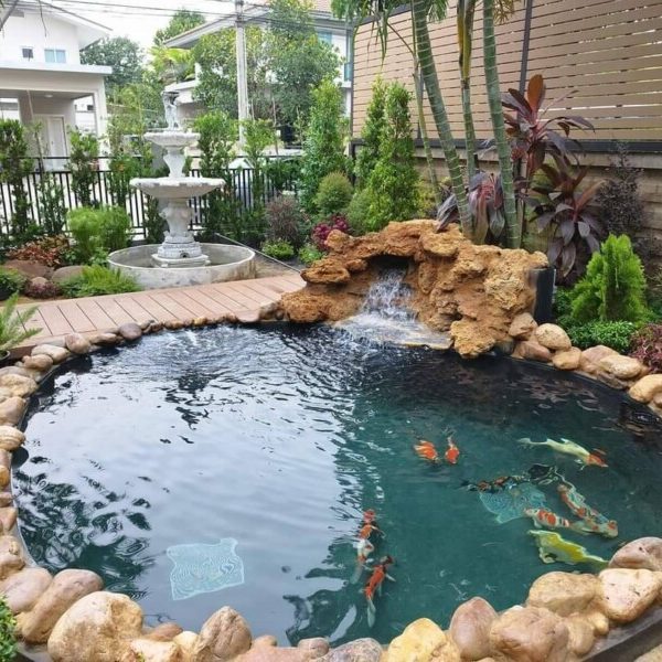SiamKoiHouse.co.th สร้างสรรค์ บ่อปลาคาร์ฟและสวนสวยในฝัน ด้วยทีมงานมืออาชีพ (225)
