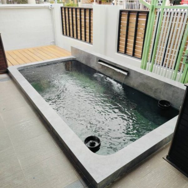 SiamKoiHouse.co.th สร้างสรรค์ บ่อปลาคาร์ฟและสวนสวยในฝัน ด้วยทีมงานมืออาชีพ (30)