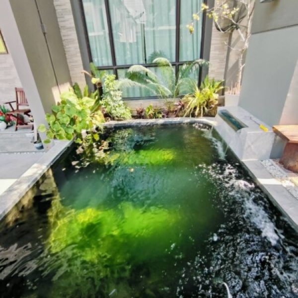 SiamKoiHouse.co.th สร้างสรรค์ บ่อปลาคาร์ฟและสวนสวยในฝัน ด้วยทีมงานมืออาชีพ (34)