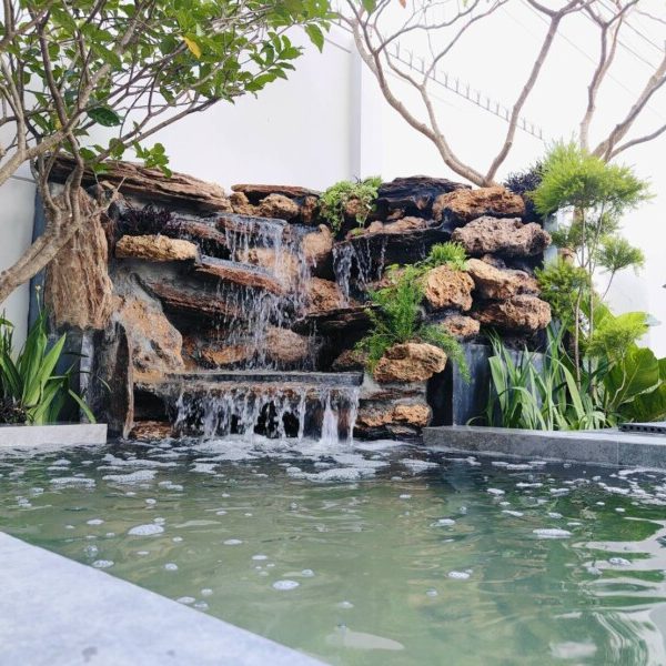 SiamKoiHouse.co.th สร้างสรรค์ บ่อปลาคาร์ฟและสวนสวยในฝัน ด้วยทีมงานมืออาชีพ (48)