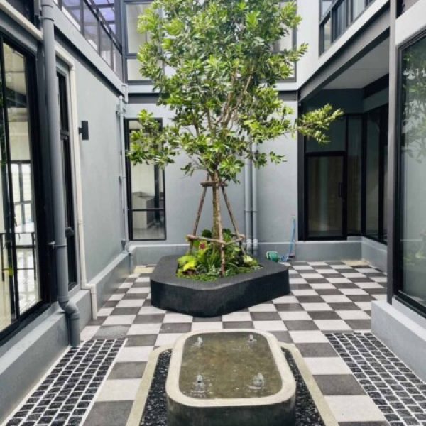 SiamKoiHouse.co.th สร้างสรรค์ บ่อปลาคาร์ฟและสวนสวยในฝัน ด้วยทีมงานมืออาชีพ (69)