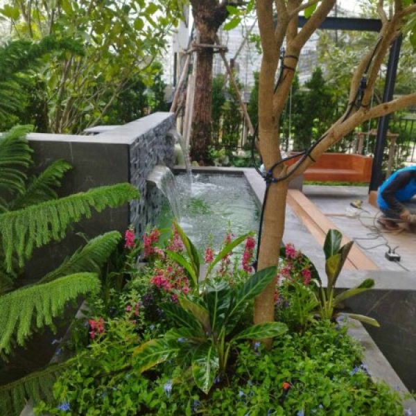 SiamKoiHouse.co.th สร้างสรรค์ บ่อปลาคาร์ฟและสวนสวยในฝัน ด้วยทีมงานมืออาชีพ (75)