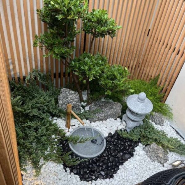 SiamKoiHouse.co.th สร้างสรรค์ บ่อปลาคาร์ฟและสวนสวยในฝัน ด้วยทีมงานมืออาชีพ (91)