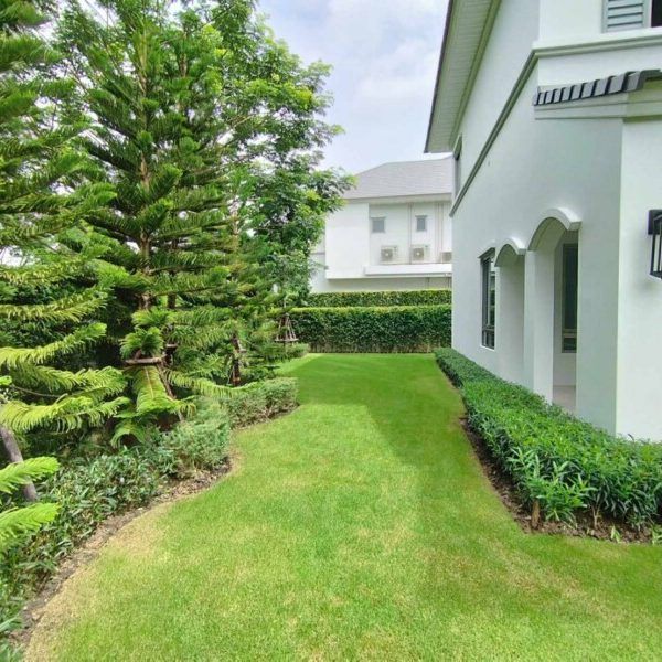 SiamKoiHouse.co.th สร้างสรรค์ บ่อปลาคาร์ฟและสวนสวยในฝัน ด้วยทีมงานมืออาชีพ (95)