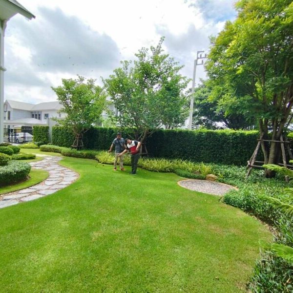SiamKoiHouse.co.th สร้างสรรค์ บ่อปลาคาร์ฟและสวนสวยในฝัน ด้วยทีมงานมืออาชีพ (96)