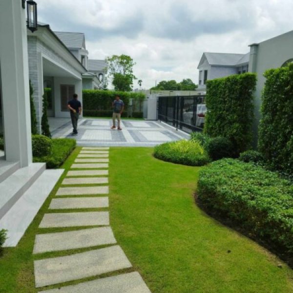 SiamKoiHouse.co.th สร้างสรรค์ บ่อปลาคาร์ฟและสวนสวยในฝัน ด้วยทีมงานมืออาชีพ (98)