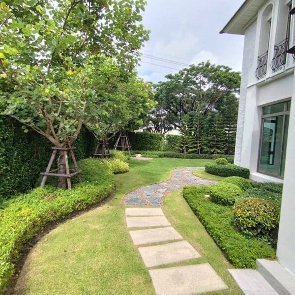 SiamKoiHouse.co.th สร้างสรรค์ บ่อปลาคาร์ฟและสวนสวยในฝัน ด้วยทีมงานมืออาชีพ (99)